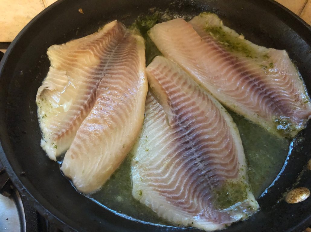 Tilapia fillets in butter parsley sauce