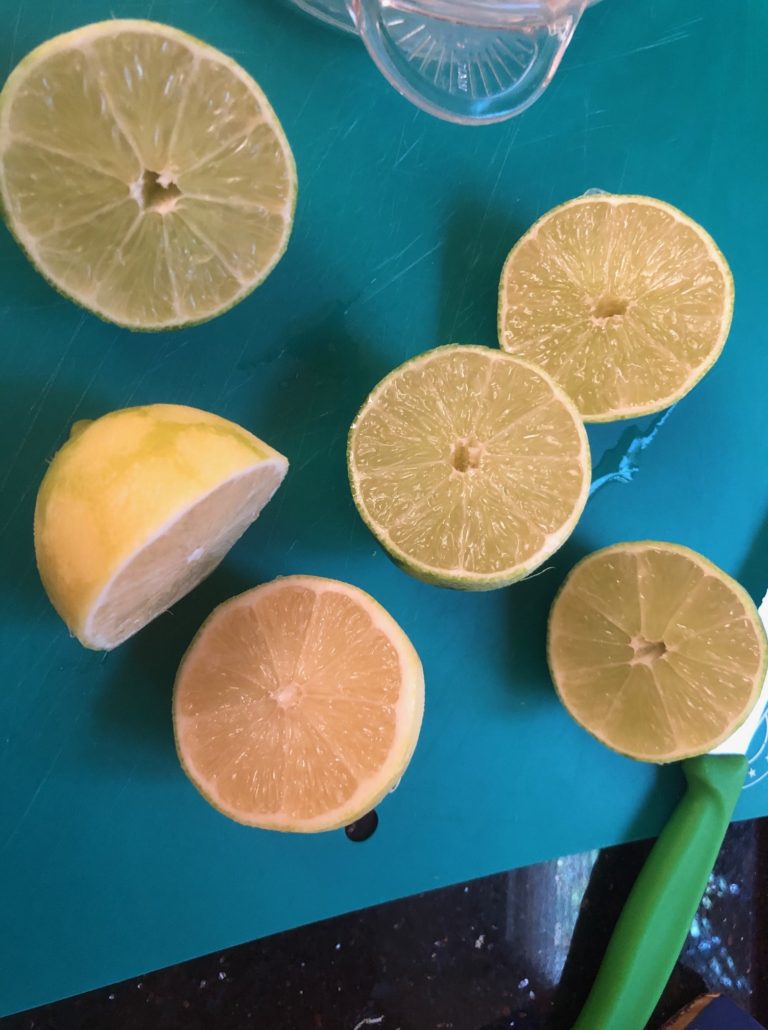 lemon and limes sliced in half