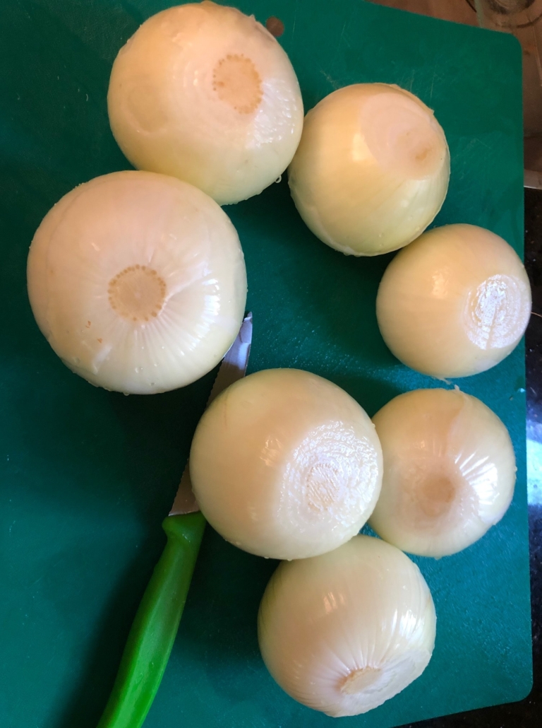 nice large onions