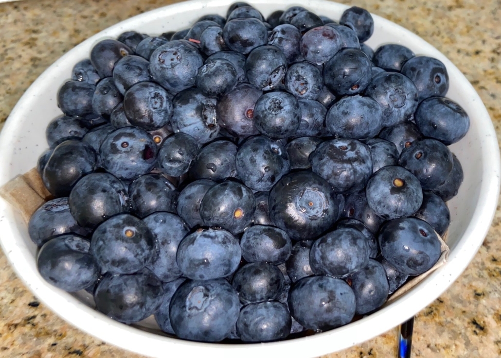 gorgeous blueberries