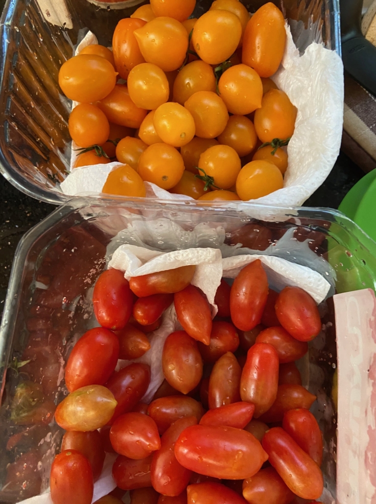 red and yellow cherry tomatoes
