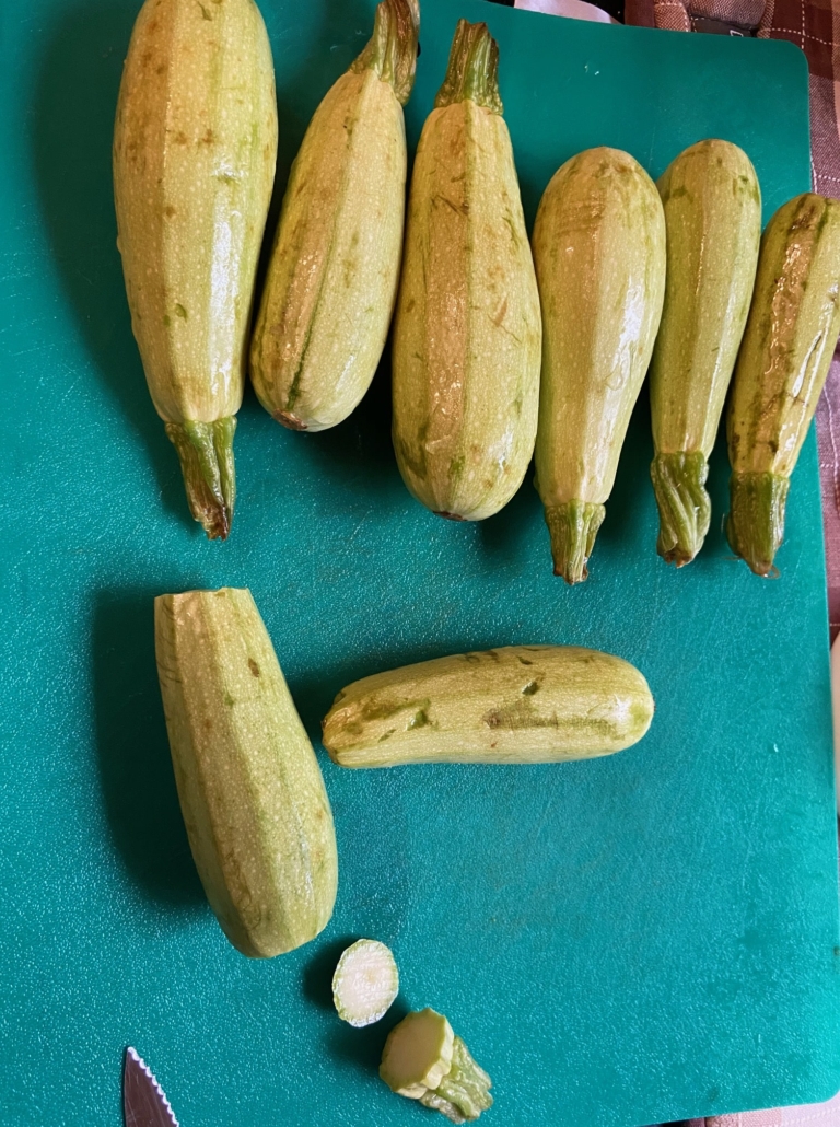 slightly wilted squash