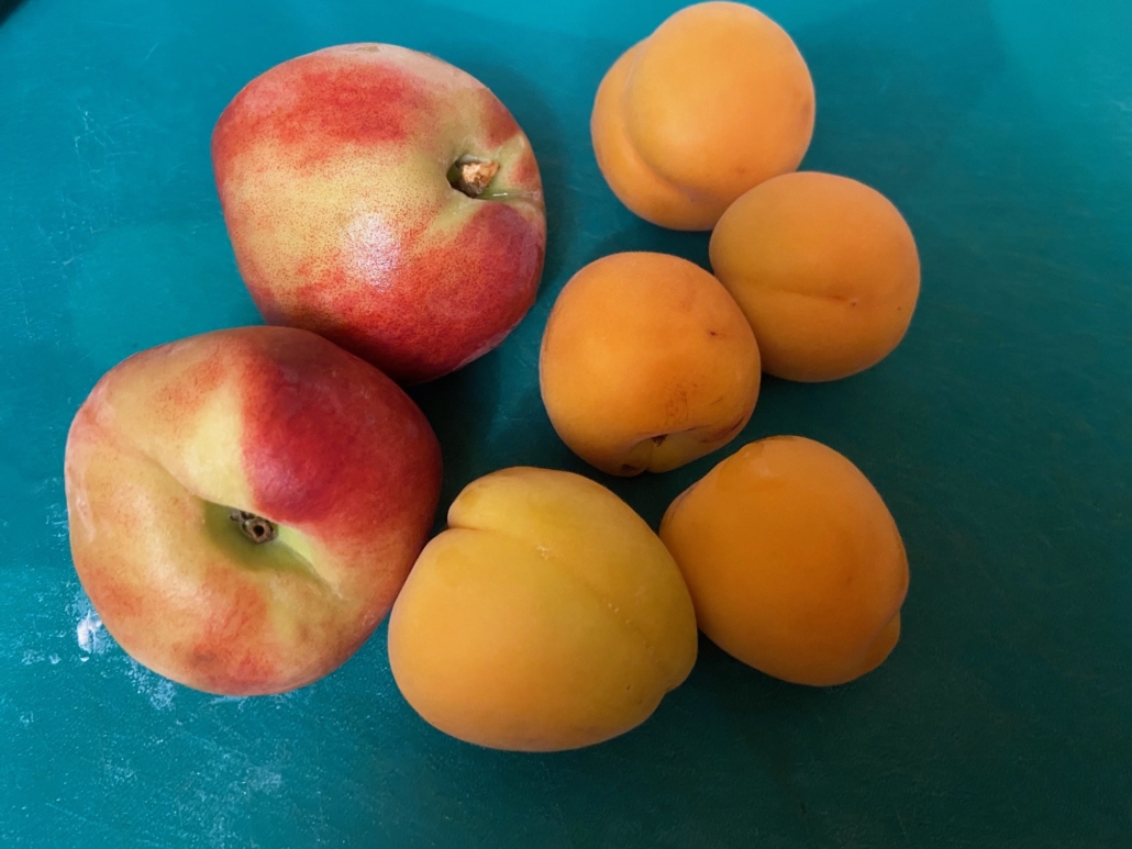 apricots and peaches