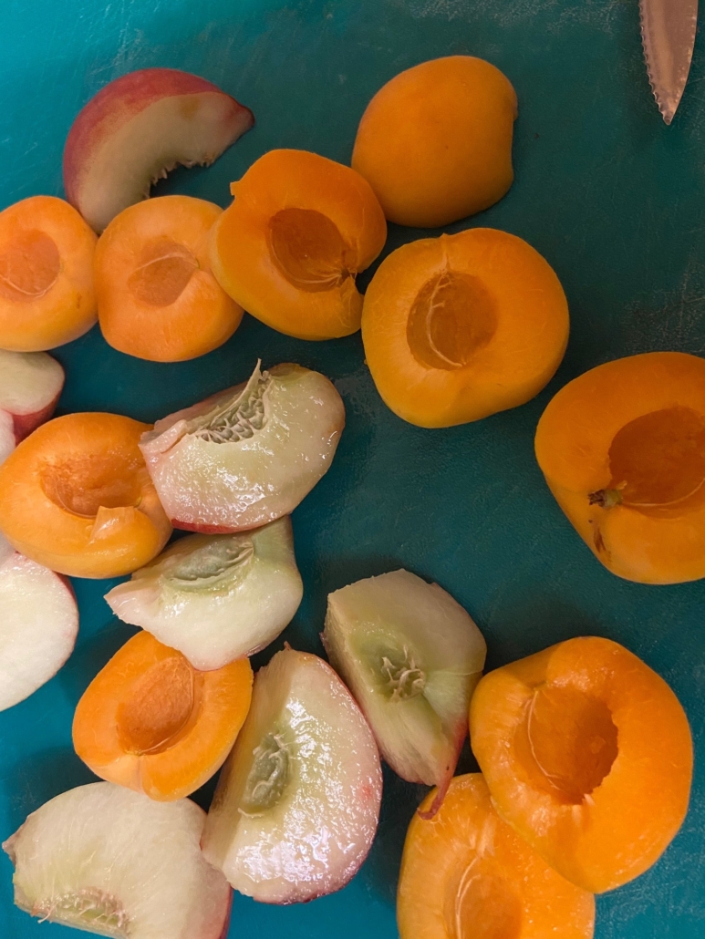 halved apricots and quartered peaches