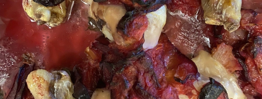 Plum onion jam chicken