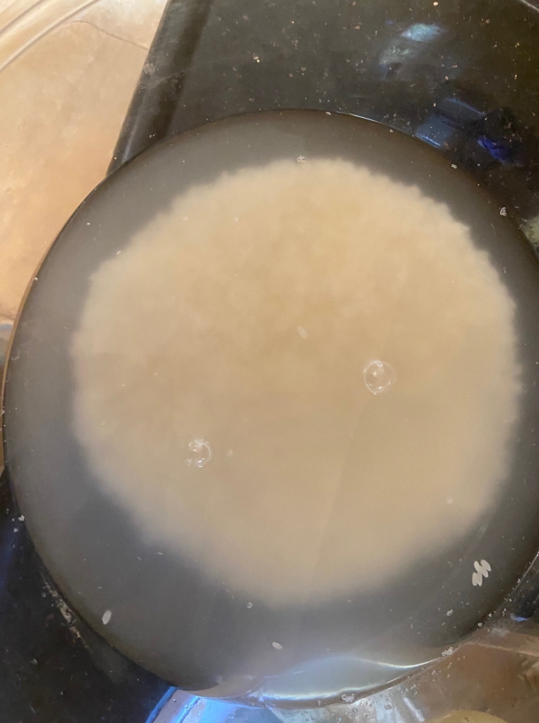 Note the cloudiness of water