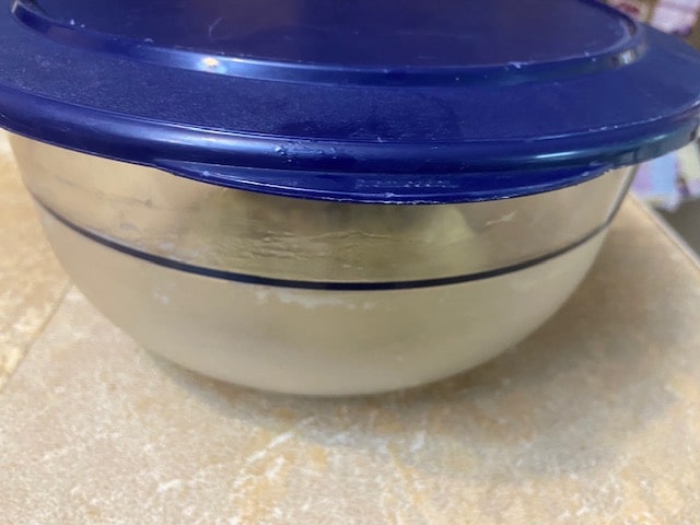 dough resting in bowl with lid