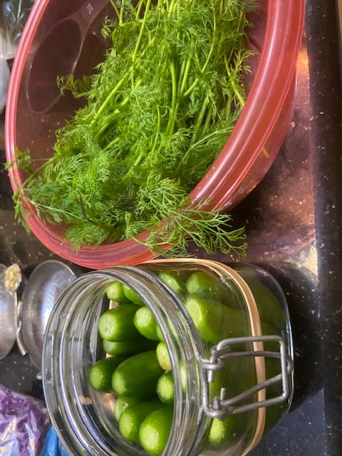 well washed dill
