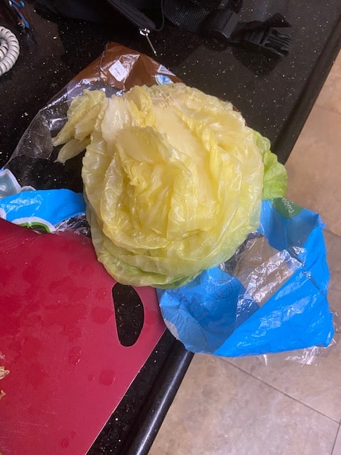 frozen head of cabbage defrosting