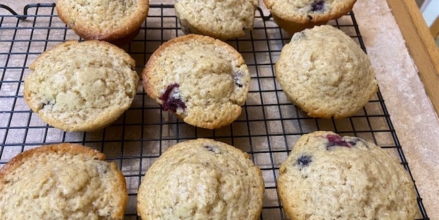 Blueberry Lemon Muffins