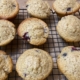 Blueberry Lemon Muffins