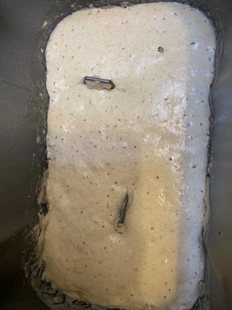 risen poolish/starter