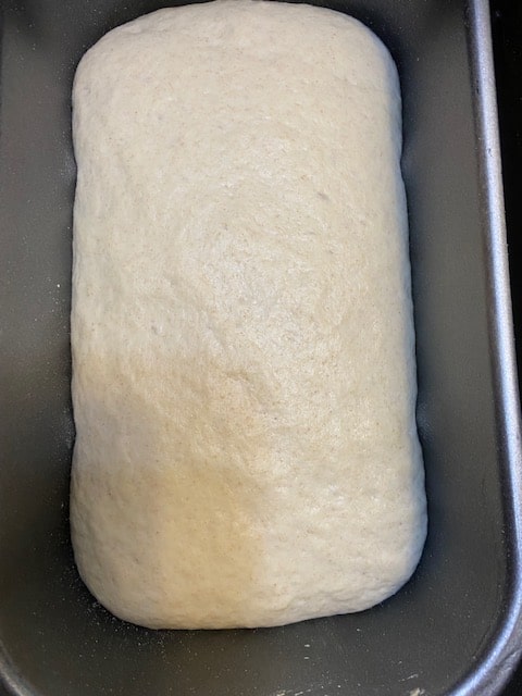 risen dough