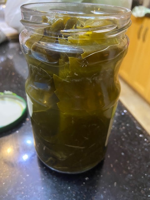 jar of grape leaves in brine