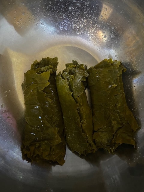 tightly rolled leaves