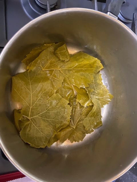 leaves lining bottom of pot