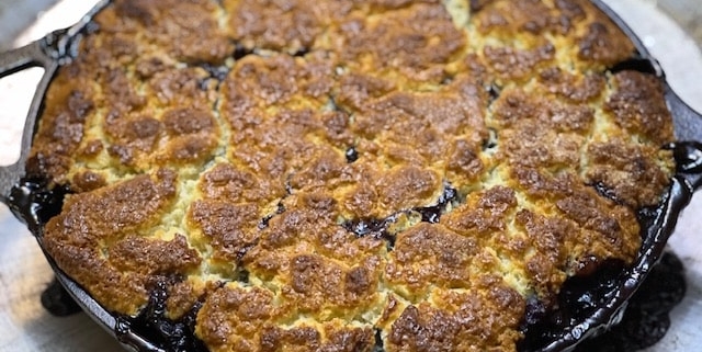 Blueberry Cobbler