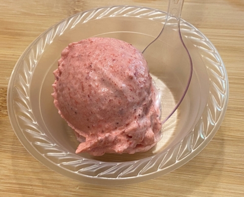 4 Ingredient Strawberry Blender Ice Cream