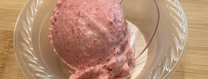 4 Ingredient Strawberry Blender Ice Cream