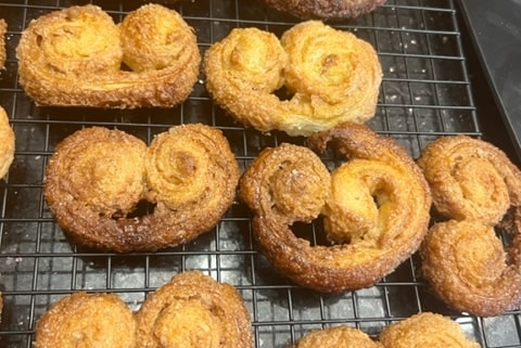 Palmiers (Elephant Ears)
