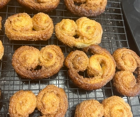 Palmiers (Elephant Ears)