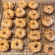 Middle Eastern Cracker Rings