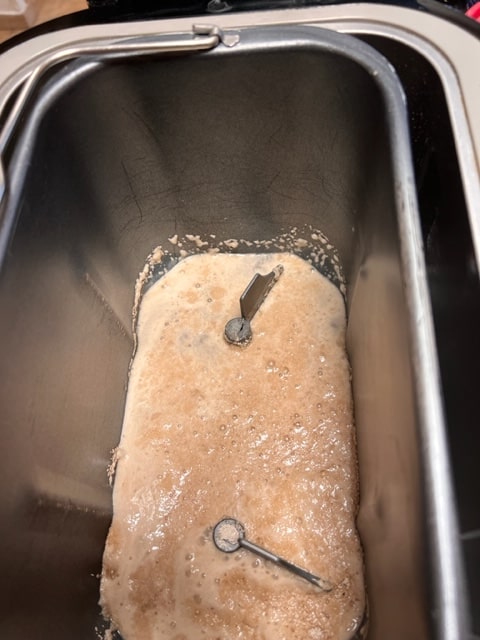 yeast proofed and bubbly