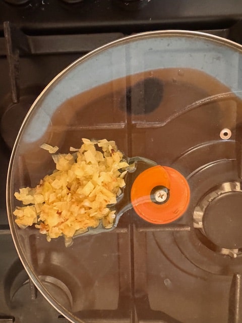 onions waiting on inside of cover