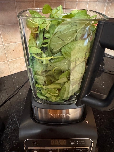 basil leaves in blender