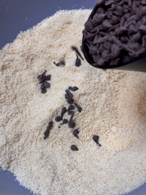 add the chocolate chips