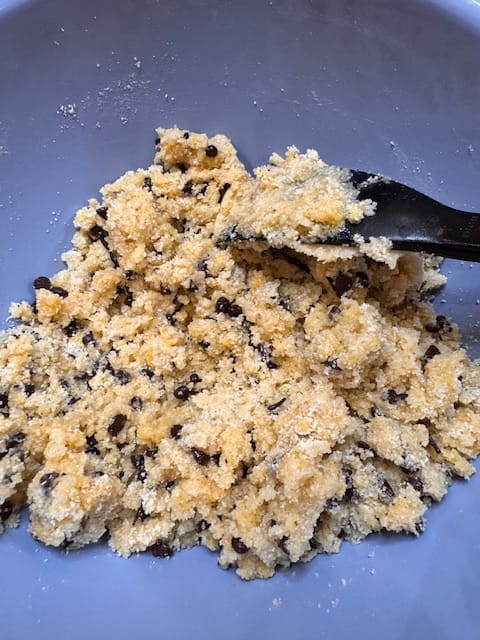 initial dough looks crumbly