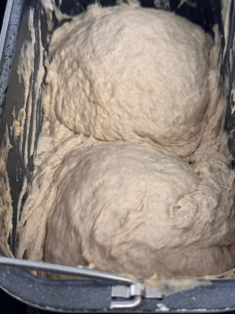 dough starts off shaggy looking