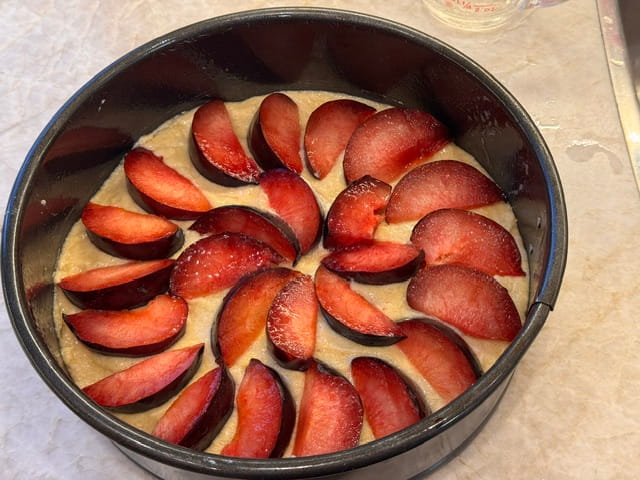 arrange plum slices in pan