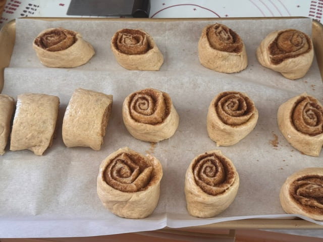 Cut dough log into rolls